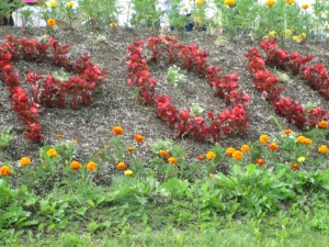 IMG_0968a